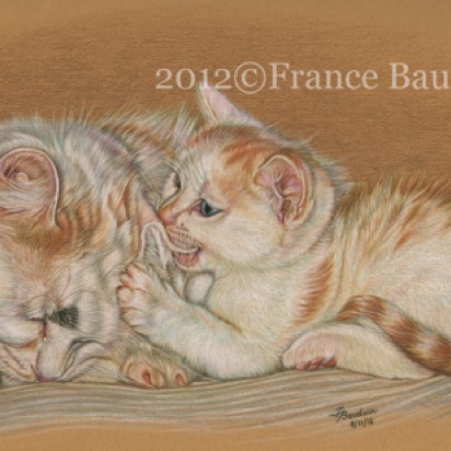 Patience 
Daler-Rowney Pastel Paper
10" x 16"
Spooky & Alfie (12th litter)